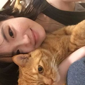 免费🔞无码进口动漫
